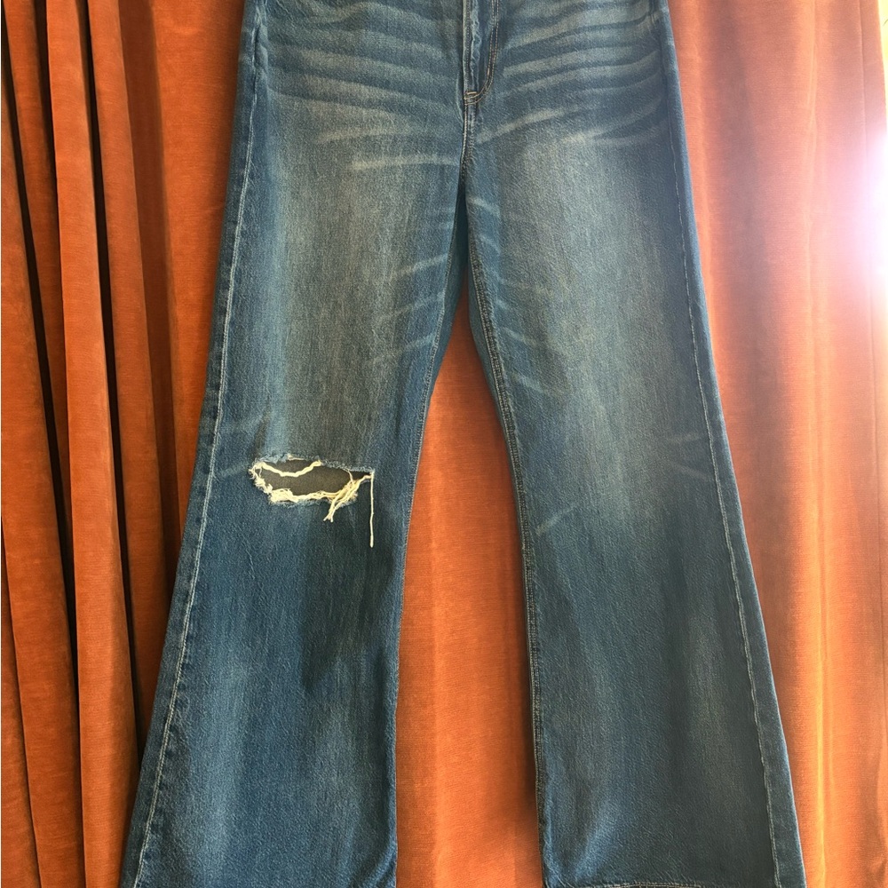 American Eagle Outfitters Strigid Low Rise Baggy Flare Size 10